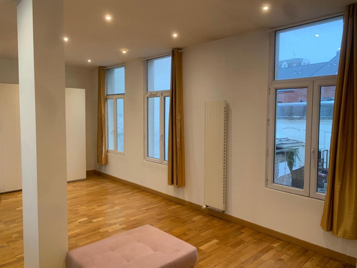 Spacieux 100 M2 Pour 7 Personnes En Plein Centre-Ville Lille Dış mekan fotoğraf